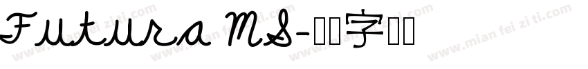 Futura MS字体转换
